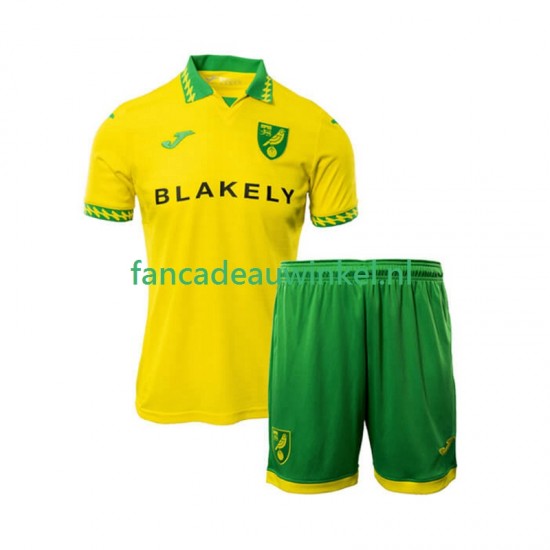 Norwich City Wedstrijdshirt met Korting Thuis Kind 2025-26 Korte Mouw