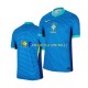 Brazilië Wedstrijdshirt met Korting Uit Heren Copa America 2024 Korte Mouw