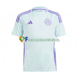 Schotland Wedstrijdshirt met Korting Uit Heren EK 2024 Korte Mouw