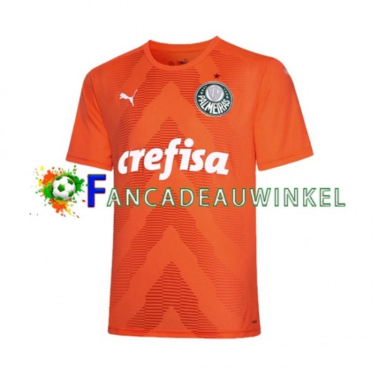 Palmeiras Wedstrijdshirt met Korting Keepersshirt 3rd Heren 2022-23 Korte Mouw