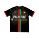 Club Deportivo Palestino Wedstrijdshirt met Korting Center Stripre Thuis Heren 2024-25 Korte Mouw