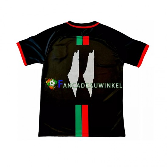 Club Deportivo Palestino Wedstrijdshirt met Korting Center Stripre Thuis Heren 2024-25 Korte Mouw