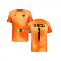 Finland Wedstrijdshirt met Korting HRADECKY 1 Keepersshirt Thuis Heren 2022-23 Korte Mouw