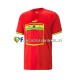 Ghana Wedstrijdshirt met Korting Uit Heren WK 2022 Korte Mouw