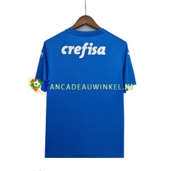 Palmeiras Wedstrijdshirt met Korting Keepersshirt Uit Heren 2022-23 Korte Mouw