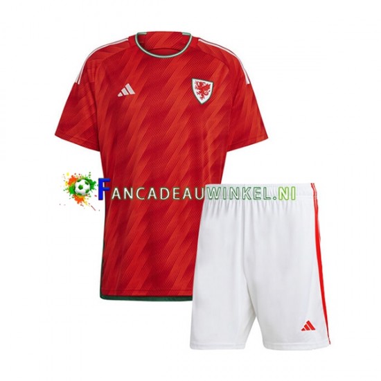 Wales Wedstrijdshirt met Korting Thuis Kind WK 2022 Korte Mouw